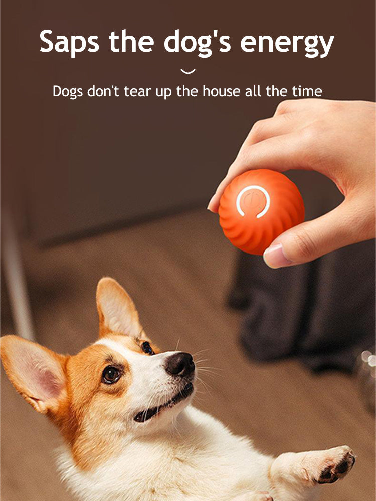 Active Rolling Ball Anti-Anxiety Automatic Moving Ball