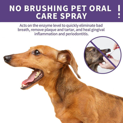 Pet Dog Cat Teeth Cleaning Spray Remove Tartar Teeth Stains - Quantal store