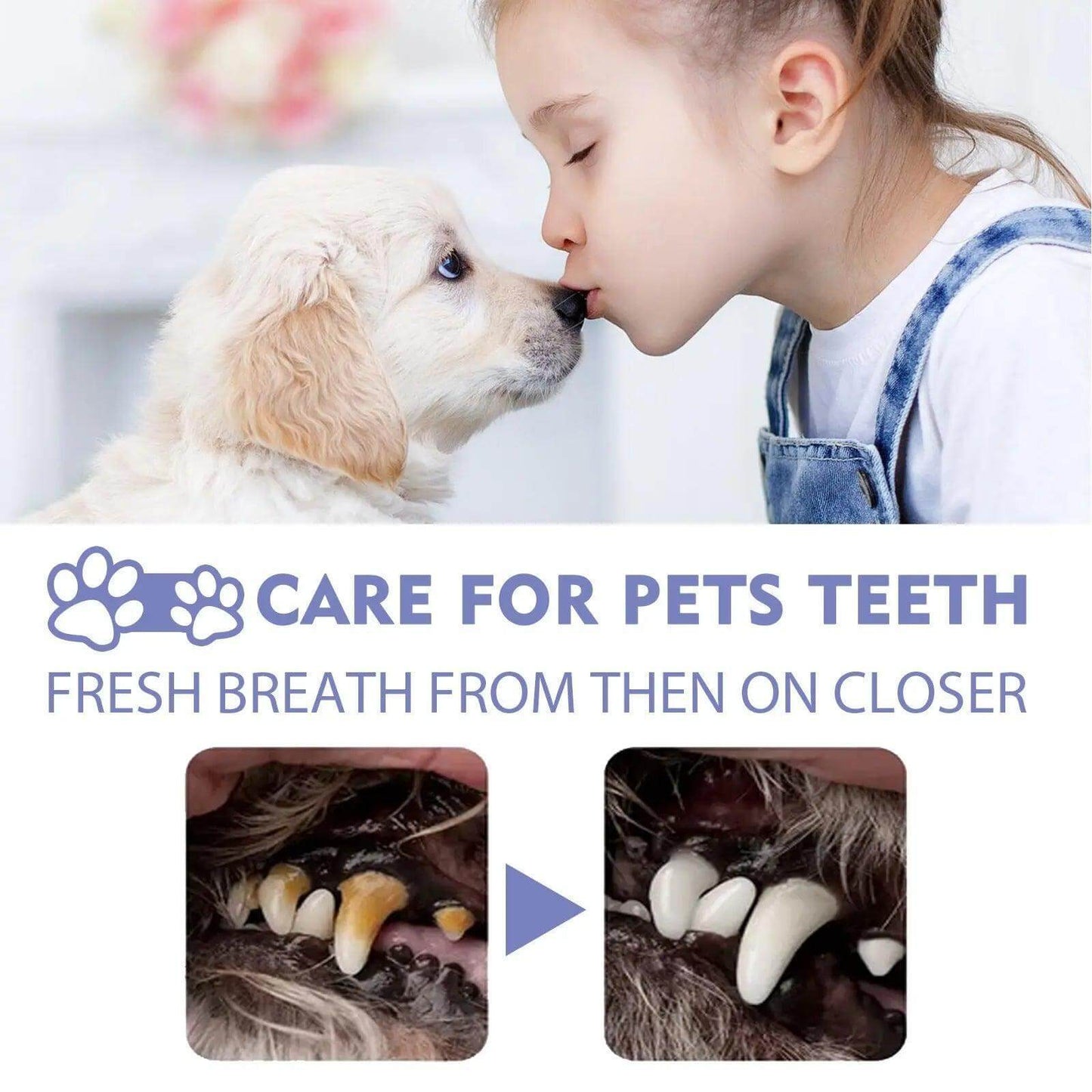 Pet Dog Cat Teeth Cleaning Spray Remove Tartar Teeth Stains - Quantal store